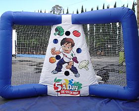 T11-316 Juego de tiro inflable