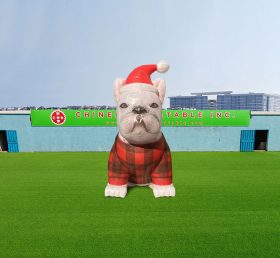 C1-231 Bulldog francés inflable de Navidad