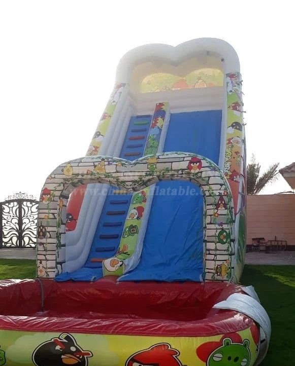 T8-4246 Angry Birds Slide & Pool