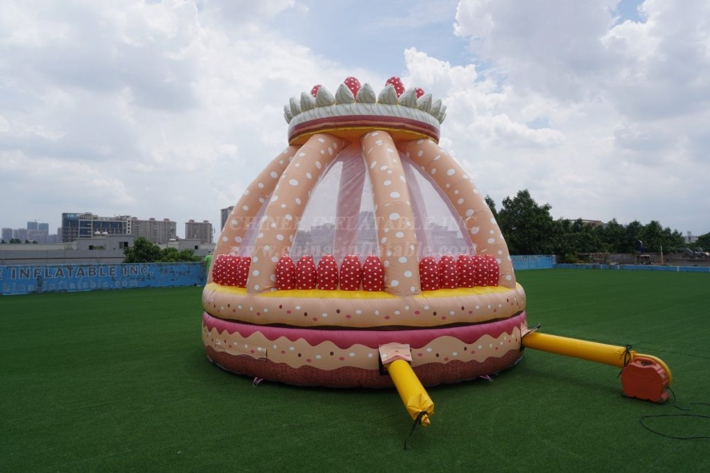 T2-6500 Cake Shape Bounce House