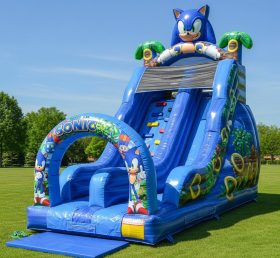 T8-8303 Sonic Theme Inflatable Dry Slide