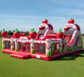 T6-6215 Strawberry Shortcake Inflatable ...