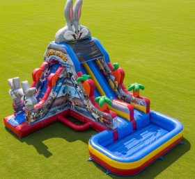 T8-7301 Looney Tunes Theme Inflatable Wa...
