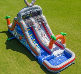 T8-7306 Looney Tunes Theme Inflatable Wa...