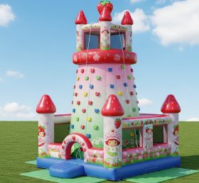 T11-4391 Strawberry Shortcake Theme Infl...