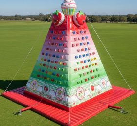 T11-4395 Strawberry Shortcake Theme Infl...