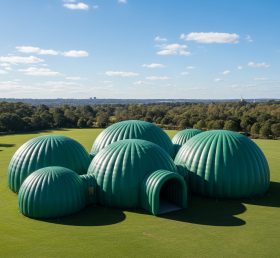 Tent1-6216 Giant Green Inflatable Dome