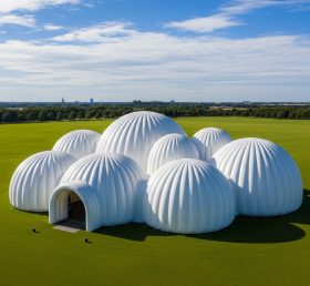 Tent1-6231 White Dome Cluster Inflatable...
